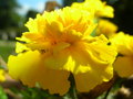 2008 EBC Service at Oxbow Park-006.jpg